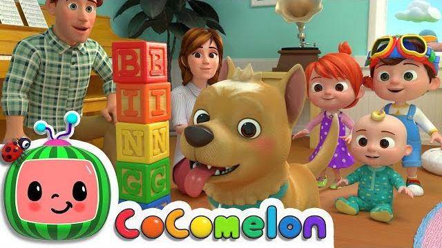 Bingo | @cocomelon nursery rhymes & kids songs Bingo | @cocomelon nursery rhymes & kids songs