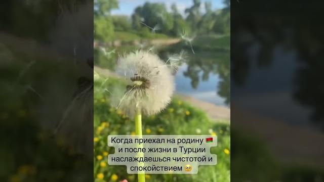 Только после эмиграции, ты понимаешь насколько в беларуси хорошо и ценишь ее. #эмиграция #минск Только после эмиграции, ты понимаешь насколько в беларуси хорошо и ценишь ее. #эмиграция #минск