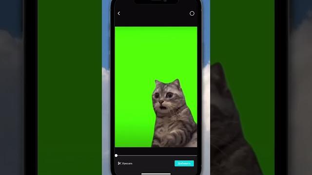 Як вставити меми без зеленого фону? хромакей легко! #монтаж відео #хромакей #хромакей у монтажі Як вставити меми без зеленого фону? хромакей легко! #монтаж відео #хромакей #хромакей у монтажі