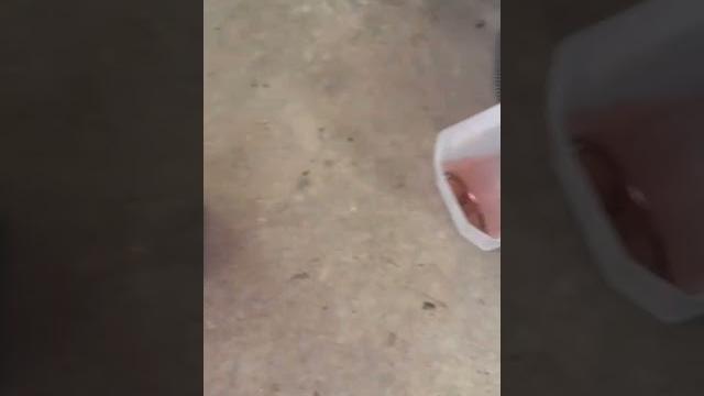 Как убрать хром с детали #автолайфхак Как убрать хром с детали #автолайфхак
