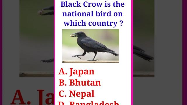 Gk questions | gk in english | quiz questions | general knowledge english | gk | english quiz | s11 Gk questions | gk in english | quiz questions | general knowledge english | gk | english quiz | s11