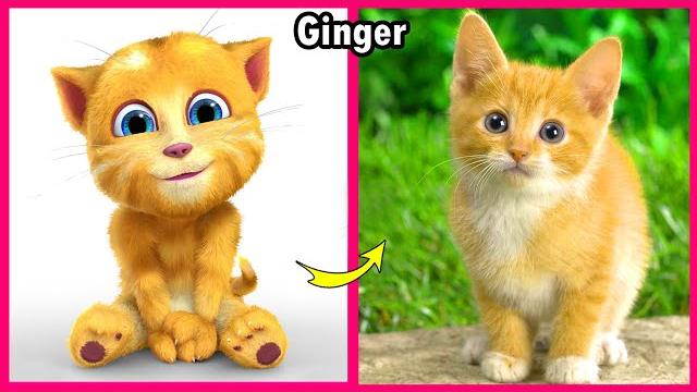 My talking tom friends real life My talking tom friends real life