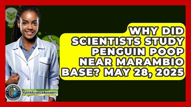 Why did scientists study penguin poop near marambio base? may 28, 2025 - earth science answers Why did scientists study penguin poop near marambio base? may 28, 2025 - earth science answers