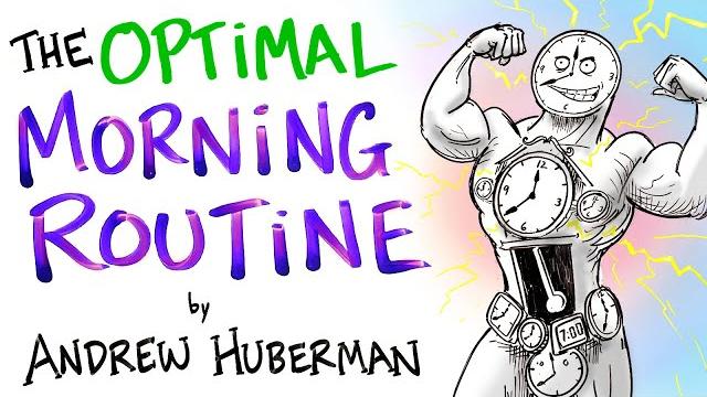 The optimal morning routine - andrew huberman The optimal morning routine - andrew huberman