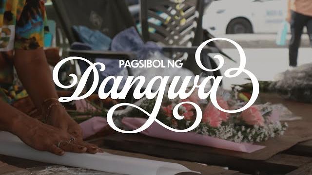 Pagsibol ng dangwa Pagsibol ng dangwa