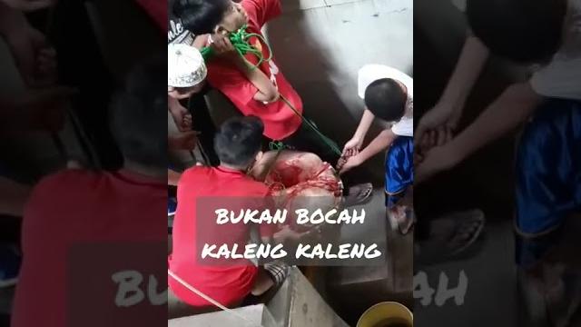 Perjuangan anak muda bukan kaleng kaleng Perjuangan anak muda bukan kaleng kaleng