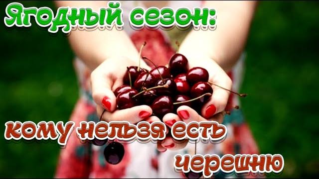 Ягодный сезон: кому нельзя есть черешнюо черешнекому нельзя есть черешнючерешня: польза и веред Ягодный сезон: кому нельзя есть черешнюо черешнекому нельзя есть черешнючерешня: польза и веред