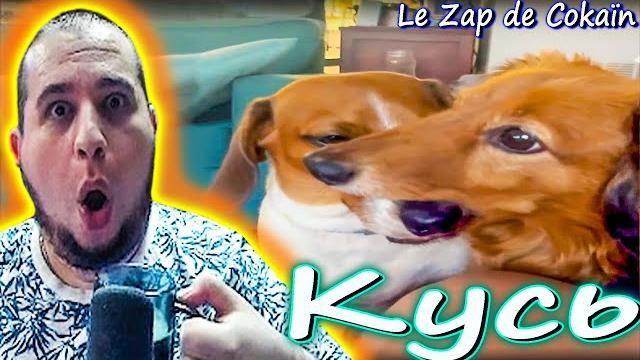 Manyrin смотрит le zap de cokaïn.fr n°309 Manyrin смотрит le zap de cokaïn.fr n°309