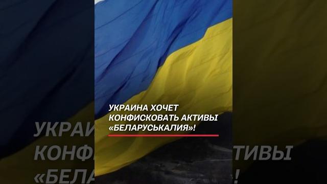 Украина хочет конфисковать активы «беларуськалия»! #украина #киев #зеленский #сво #политика #новости Украина хочет конфисковать активы «беларуськалия»! #украина #киев #зеленский #сво #политика #новости