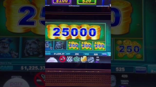Piggy bankin bonus! sweet win! #shorts Piggy bankin bonus! sweet win! #shorts