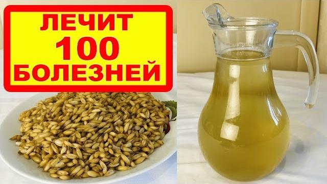 Овес - лечит 100 болезней: печень, почки, бронхит, грипп, кашель, чистит кровь, укрепляет иммунитет Овес - лечит 100 болезней: печень, почки, бронхит, грипп, кашель, чистит кровь, укрепляет иммунитет