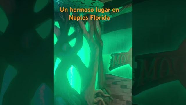 Wolfs loge in naples fl Wolfs loge in naples fl