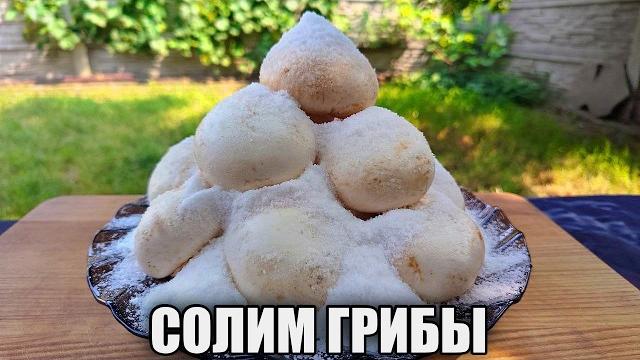Все грибы маринуют — а я солю! и вкус лучше! Все грибы маринуют — а я солю! и вкус лучше!