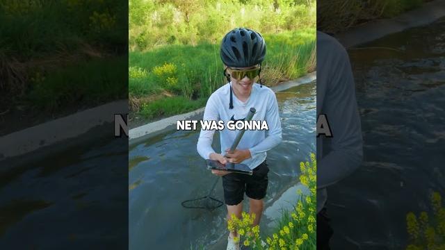 We caught a giant We caught a giant