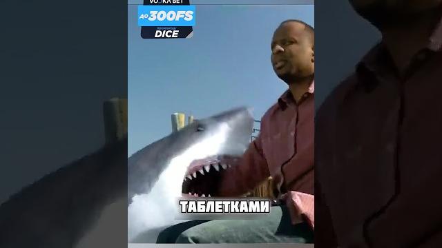 На парня напала акула На парня напала акула