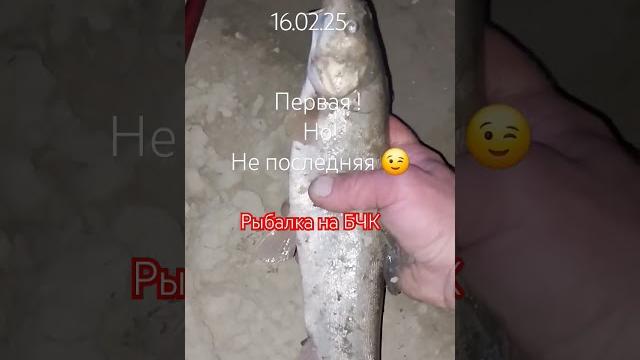 Рыбалка в бишкеке на бчк Рыбалка в бишкеке на бчк