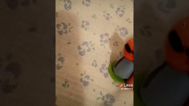 Копченая капуста 1 серия Копченая капуста 1 серия