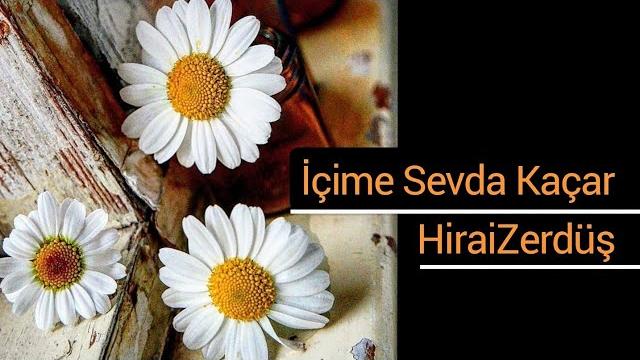 İçime sevda kaçar - hiraizerdüş İçime sevda kaçar - hiraizerdüş