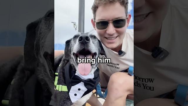 We saved the oldest dog We saved the oldest dog
