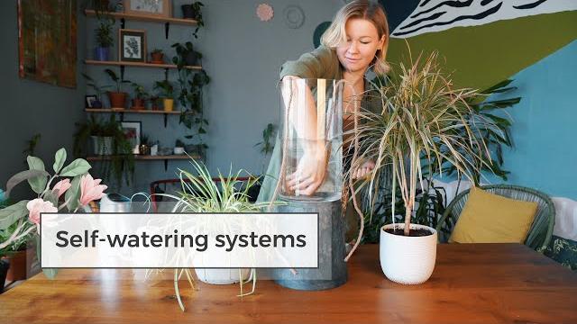 4 diy self-watering systems / water plants while away! 4 diy self-watering systems / water plants while away!