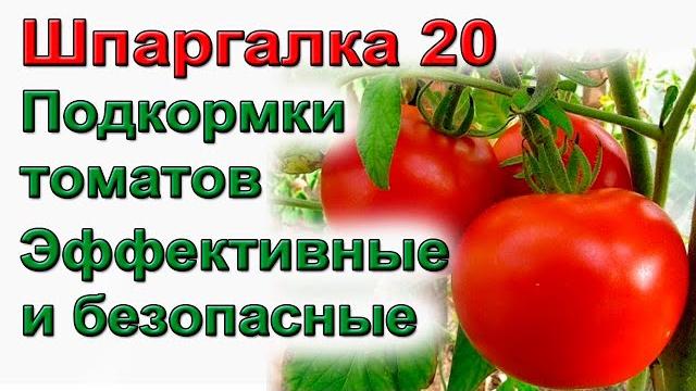 Шпаргалка 20 подкормка томатов и огурцов дозировка Шпаргалка 20 подкормка томатов и огурцов дозировка