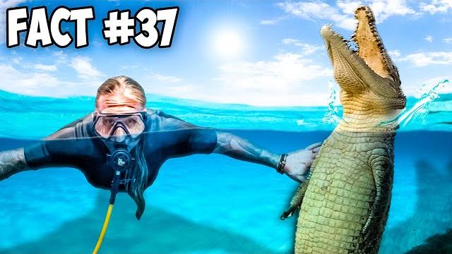 50 reptile facts busted in 50 hours! 50 reptile facts busted in 50 hours!