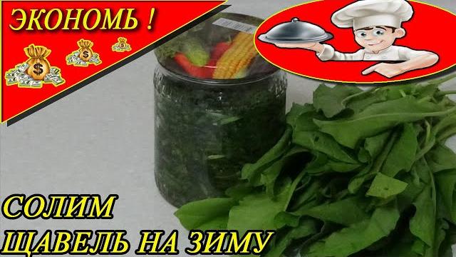 Заготовка щавеля на зиму ( засолка) Заготовка щавеля на зиму ( засолка)