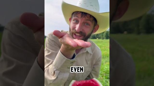5 watermelon facts 5 watermelon facts