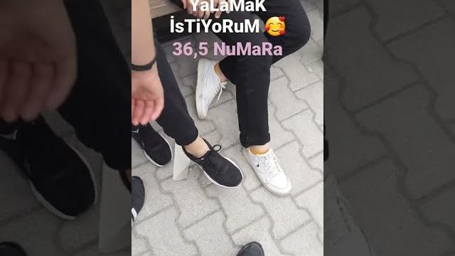 Yalamak i̇steyenler Yalamak i̇steyenler