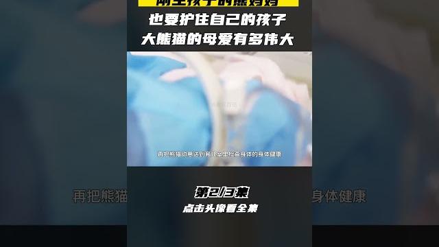 Pt2/3 大熊猫有多爱自己的孩子,刚生孩子就紧紧护住自己娃,不让饲养员抢走 #大熊猫#国宝大熊猫 #shorts Pt2/3 大熊猫有多爱自己的孩子,刚生孩子就紧紧护住自己娃,不让饲养员抢走 #大熊猫#国宝大熊猫 #shorts