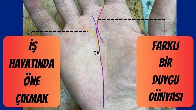 İş hayatında öne çıkmak - farklı bir duygu dünyası - kalp çizgisinin jüpiterden mars ovasına akması İş hayatında öne çıkmak - farklı bir duygu dünyası - kalp çizgisinin jüpiterden mars ovasına akması