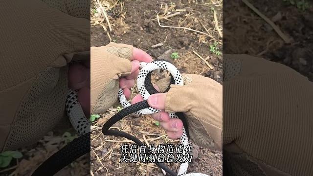 从零起步学绳艺,亨特绳结轻松上手 从零起步学绳艺,亨特绳结轻松上手