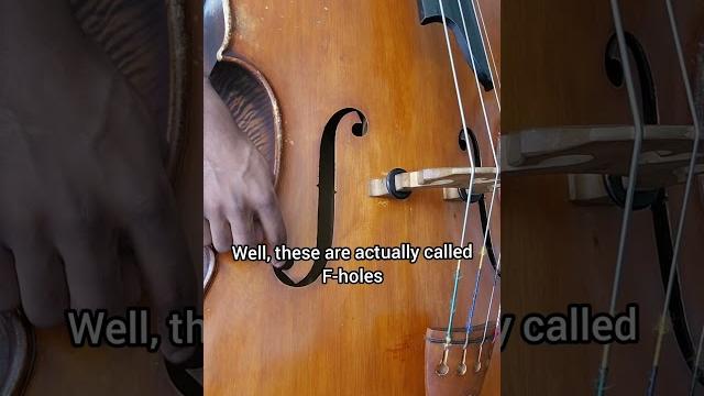 The f shape on instruments explained The f shape on instruments explained