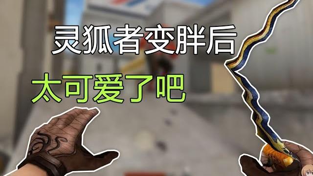 我的灵狐者过年吃太胖手都变粗了?? 我的灵狐者过年吃太胖手都变粗了??