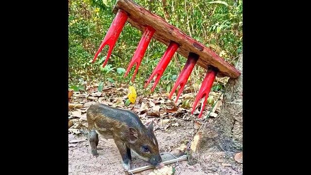 Mind blowing traps Mind blowing traps