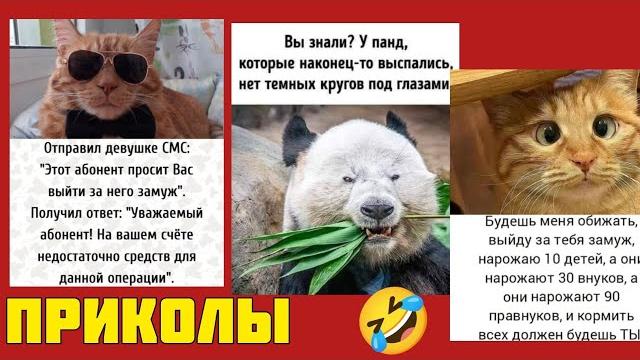 Улыбка без повода — лучше любого телевизора , смотрите смешные картинки мемы котики приколы Улыбка без повода — лучше любого телевизора , смотрите смешные картинки мемы котики приколы
