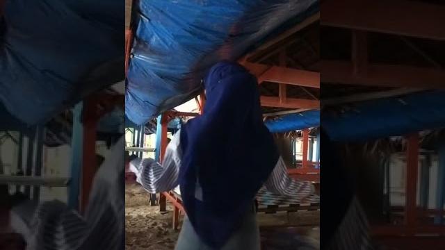 Cewe cantik jilbab pamer anu Cewe cantik jilbab pamer anu