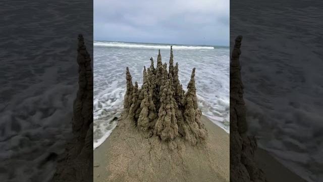 Tsunami Tsunami