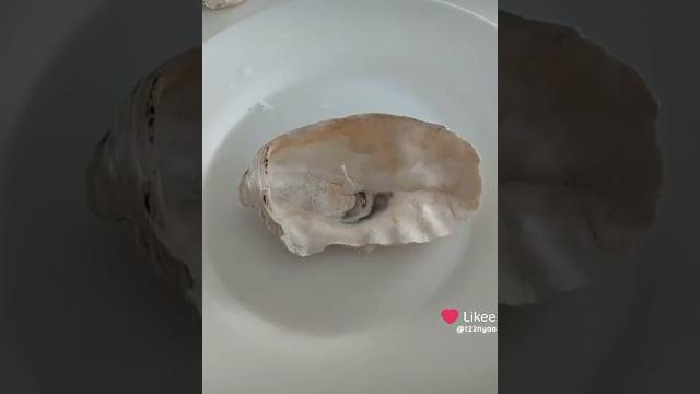 Свечи из ракушек #diy #своимируками Свечи из ракушек #diy #своимируками
