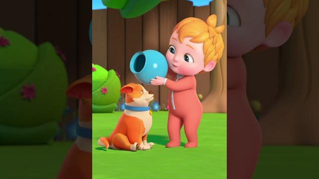 Bingo | nursery rhymes & kids songs | nunu tv #kindergartensong #babysongs #kidssongs #nurseryrhymes Bingo | nursery rhymes & kids songs | nunu tv #kindergartensong #babysongs #kidssongs #nurseryrhymes