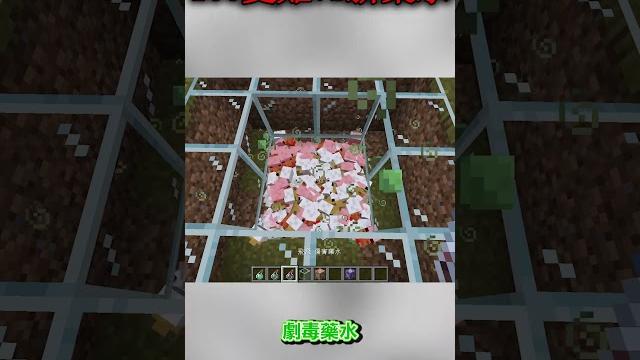 Minecraft 新藥水vs100隻以上的雞會發生奇妙的事情 #shorts Minecraft 新藥水vs100隻以上的雞會發生奇妙的事情 #shorts