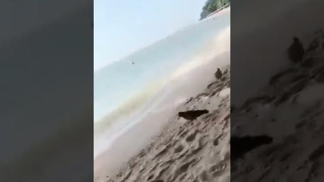 Novinha rebolando pelad4 !!! - mulheres peladas!!! Novinha rebolando pelad4 !!! - mulheres peladas!!!