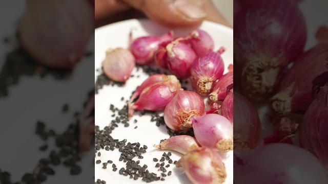 Growing onions in rooftop garden Growing onions in rooftop garden