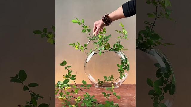朵朵精神叶叶柔,蔷薇花中式插花瓶中固定技巧。 朵朵精神叶叶柔,蔷薇花中式插花瓶中固定技巧。