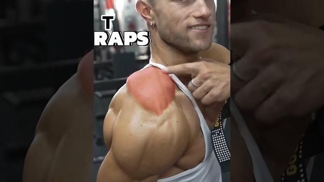 Build bigger traps | workout routine Build bigger traps | workout routine
