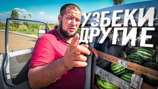 Я не ожидал такого от узбеков / вы должны знать, что вас ждёт в узбекистане #узбекистан #ташкент Я не ожидал такого от узбеков / вы должны знать, что вас ждёт в узбекистане #узбекистан #ташкент