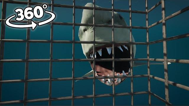 360° shark is waiting you under the sea 360° shark is waiting you under the sea
