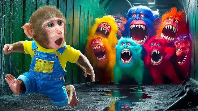 Kiki monkey challenges with doing hide and escape from monster to take honey jelly| kudo animal kiki Kiki monkey challenges with doing hide and escape from monster to take honey jelly| kudo animal kiki