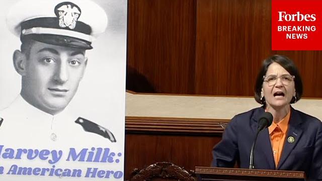 'just too gay for him': becca balint torches pete hegseth for renaming ship named for harvey milk 'just too gay for him': becca balint torches pete hegseth for renaming ship named for harvey milk