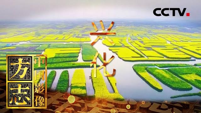 《中国影像方志》 第612集 江苏兴化篇:千垛花海举世无双 板桥家书万古流芳 | cctv科教 《中国影像方志》 第612集 江苏兴化篇:千垛花海举世无双 板桥家书万古流芳 | cctv科教
